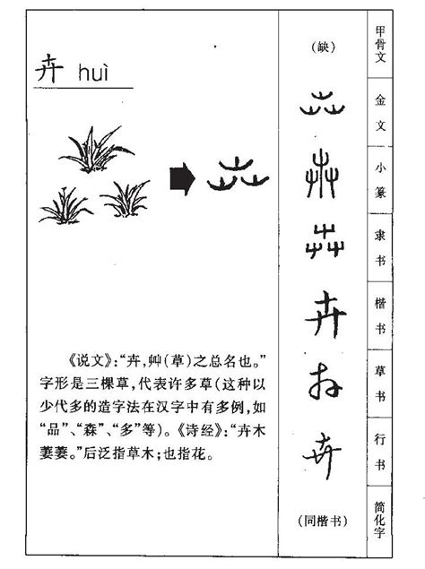 卉名字意思|卉（汉语文字）